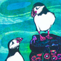 Playful Puffins Card Pack thumbnail