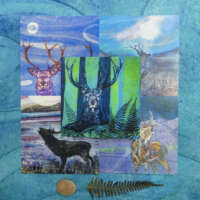 Scottish Stags Card Pack thumbnail