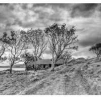 Old Croft House & Trees, Suisinish thumbnail