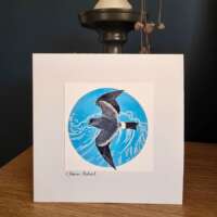 Storm Petrel Card thumbnail