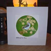 Goldcrest in Pine Card thumbnail