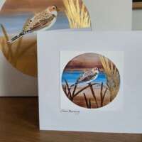 Snow Bunting Christmas Card thumbnail