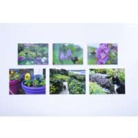 Shetland  Garden Card Pack thumbnail