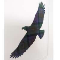 Tartan Eagle Mounted Picture (large) thumbnail