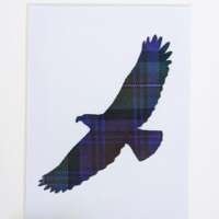 Tartan Eagle Mounted Picture (small) thumbnail