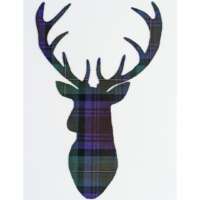 Tartan Stag Mounted Picture (large) thumbnail