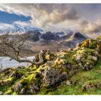 Stunted Tree & Bla Bheinn thumbnail