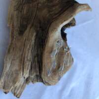 Sterling Silver Leaves, Dome & Ball Earrings thumbnail