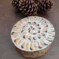 Ammonite thumbnail