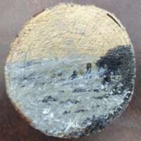 Caithness Cliffs thumbnail