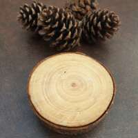 Spruce on Spruce thumbnail