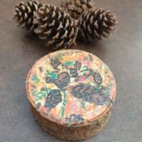 Spruce on Spruce thumbnail