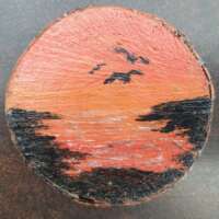 Sunset Flight thumbnail