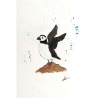 Original Watercolour of a Puffin Stretching its Wings thumbnail