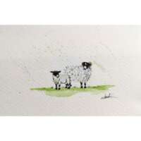 Original Watercolour of a Sheep & Lamb thumbnail
