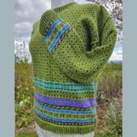 Leadlich Jumper Calypso Spruce thumbnail