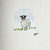 Original Watercolour of a Lamb thumbnail