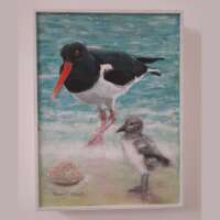 Oystercatcher and Chick Painting thumbnail