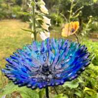 Fused Glass Blue Cornflower Garden Stake thumbnail