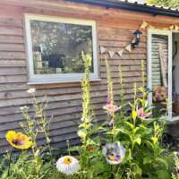 Fused Glass Golden Orange Sunflower Garden Stake thumbnail