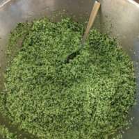 Wild Garlic Salt thumbnail