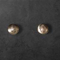 Captured Leaf Silver Earrings thumbnail