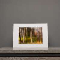 Invergarry Forest A3 thumbnail