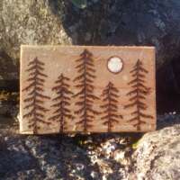 Fire Drawn Moonlit Pine Trees on Upcycled Wood thumbnail
