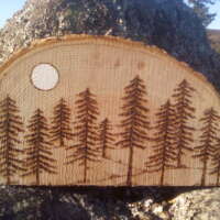 Moonlit Pine Trees on Log Slice thumbnail