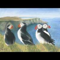 Puffins Pastel Painting thumbnail