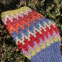 Wildflower Mittens with Blue Cuff thumbnail
