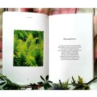 Òran Uisge – Wildflower Meadow Poetry Book thumbnail