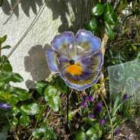 Fused Glass Purple Pansy Garden Stake thumbnail