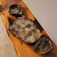 Oak Beam Serving Dishes thumbnail