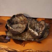 Oak Beam Serving Dishes thumbnail