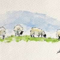 Original Watercolour of Sheep Grazing thumbnail