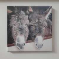 Stable Companions Canvas Print thumbnail