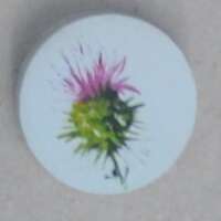 Round Thistle Brooch thumbnail