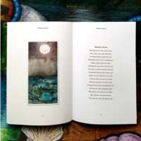 Timeless Shores Poetry Book thumbnail
