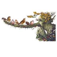 Tree Man thumbnail