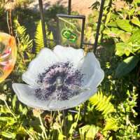 Fused Glass White Poppy Garden Stake thumbnail