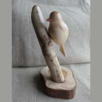 Yew Wood Bird Sculpture thumbnail